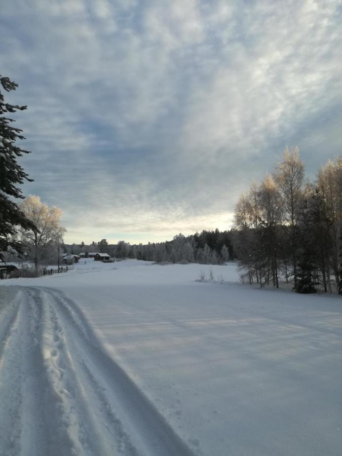 Presterudveien 125 Vikersund Exterior photo