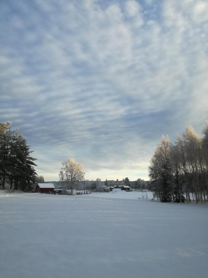 Presterudveien 125 Vikersund Exterior photo